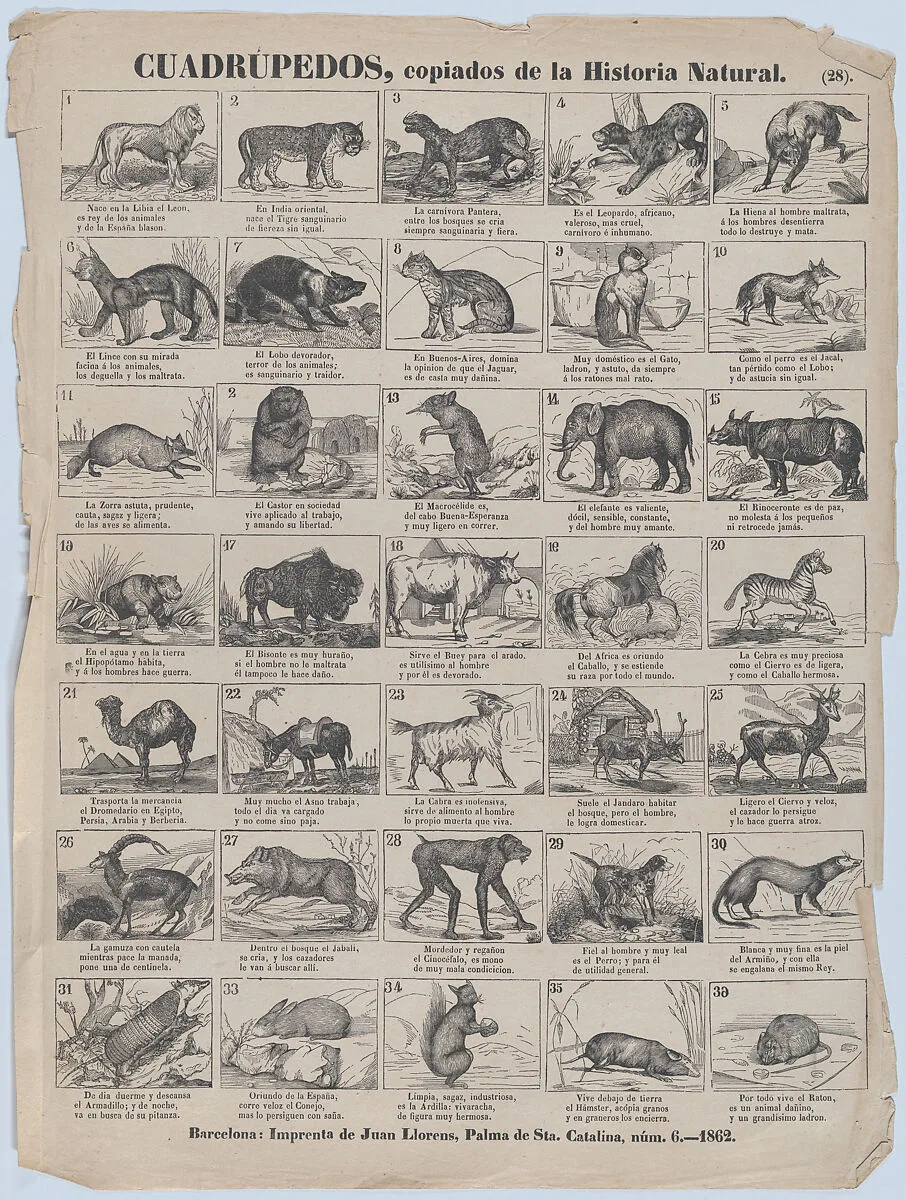Broadside with 36 images of quadrupeds (animals) — Juan Llorens