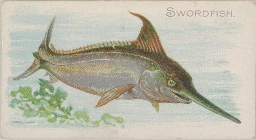 Swordfish, from the Fish from American Waters series (N8) for Allen & Ginter Cigarettes Brands