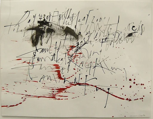 Drawing 27 from "The Diary"