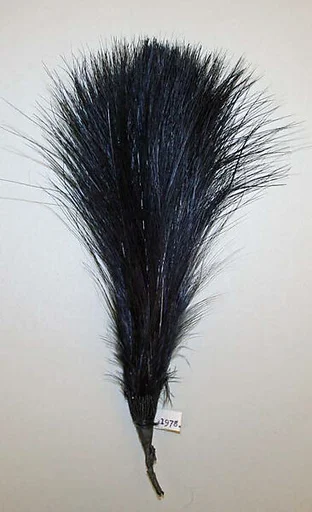 Aigrette