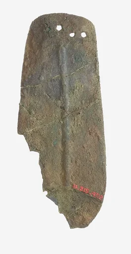 Scale from Armor