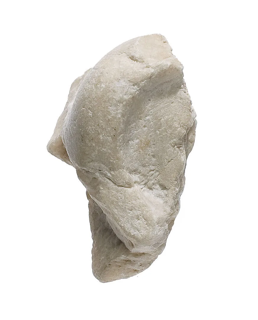 Ear from a statue of king or queen — Unknown