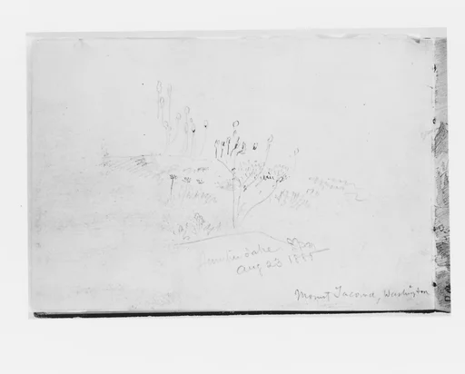 Juniper Lake Aug 23 1885, Mount Tacoma Washington (from Sketchbook X)