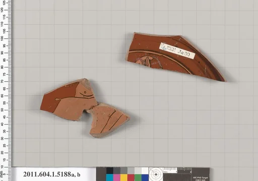 Terracotta fragments of a kylix (drinking cups)