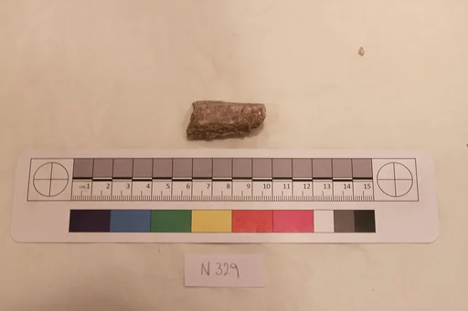 Stucco Fragment