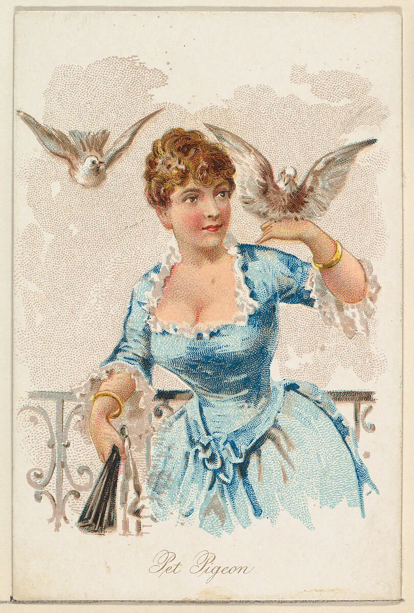 Pet Pigeon, from the Household Pets series (N194) issued by Wm. S. Kimball & Co. — Julius Bien & Co.|William S. Kimball & Company|American Tobacco Company