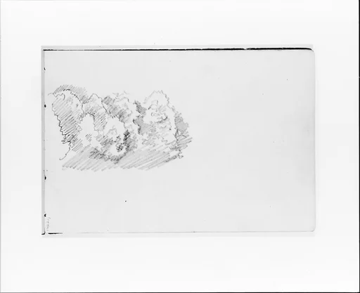Sketch of Trees (Clouds?) (from Sketchbook VII)