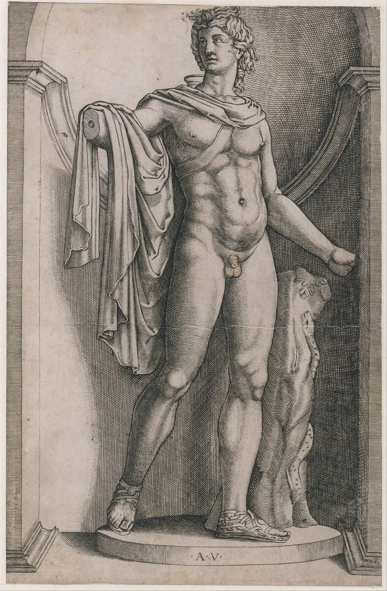 Speculum Romanae Magnificentiae: Apollo Belvedere — Agostino Veneziano (Agostino dei Musi)
