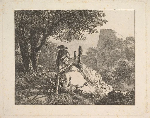 A Shady Enclosure of Trees
