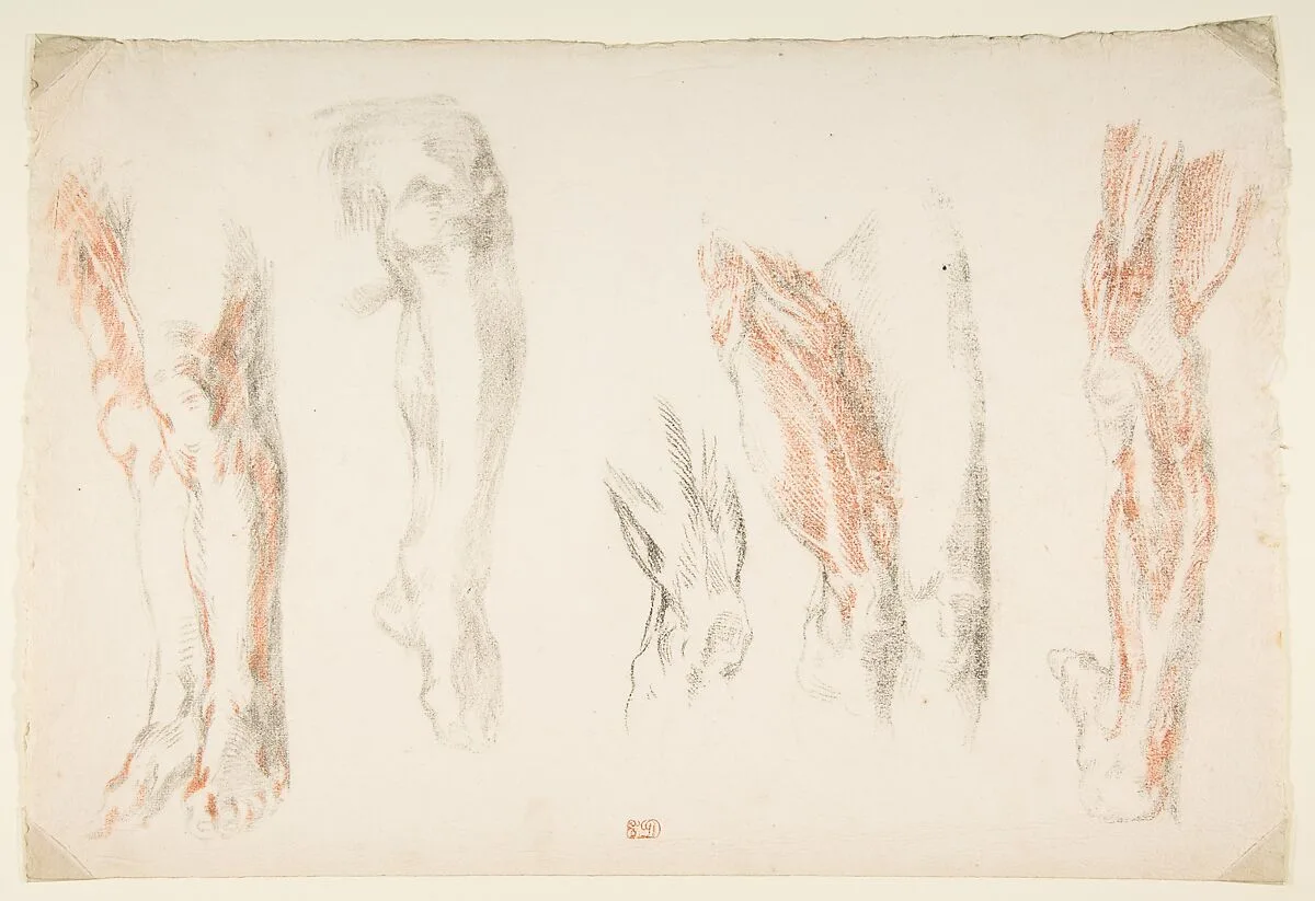 Anatomical Studies of Legs — Eugène Delacroix