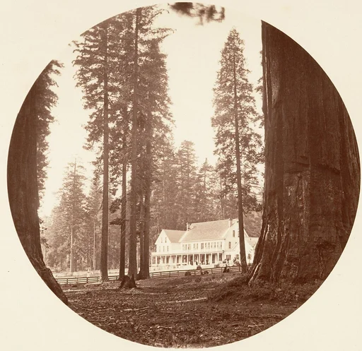 W. C. Bryant - Calaveras Grove