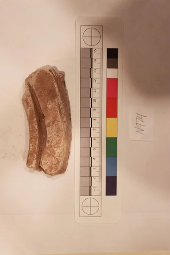Stucco Fragment