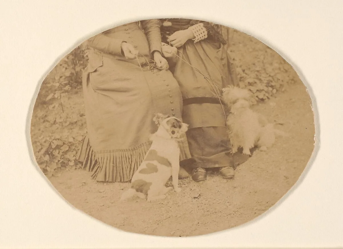 Les Chiens — Pierre-Louis Pierson