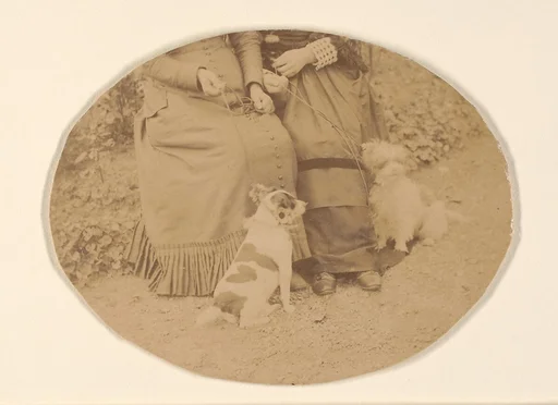 Les Chiens