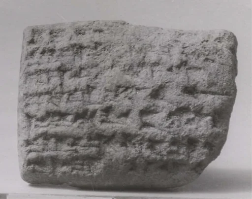 Cuneiform tablet: record of payment for oxen, Ebabbar archive