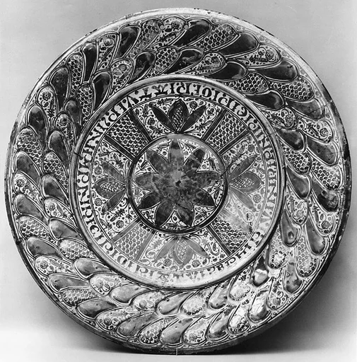 Dish