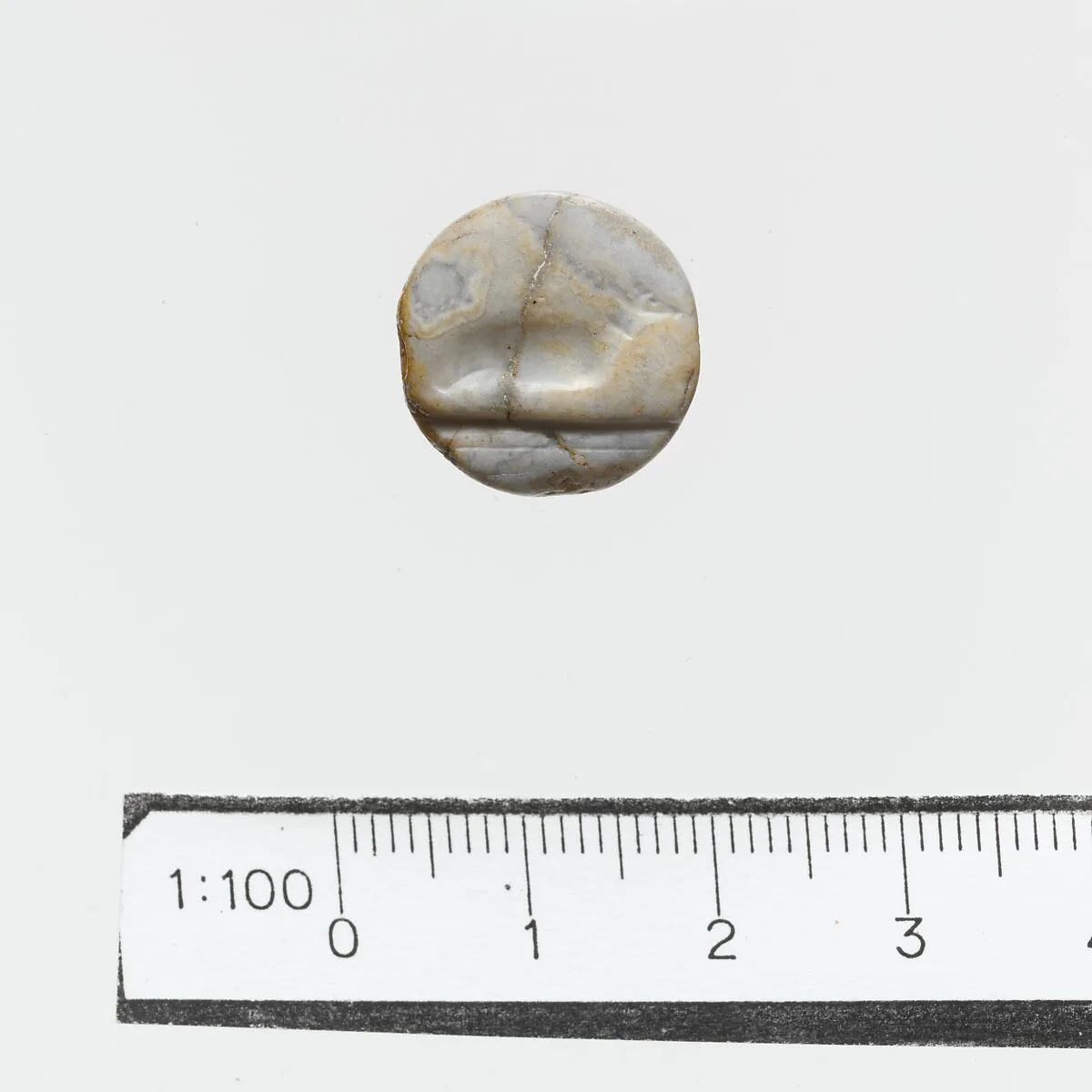 Seal — Unknown