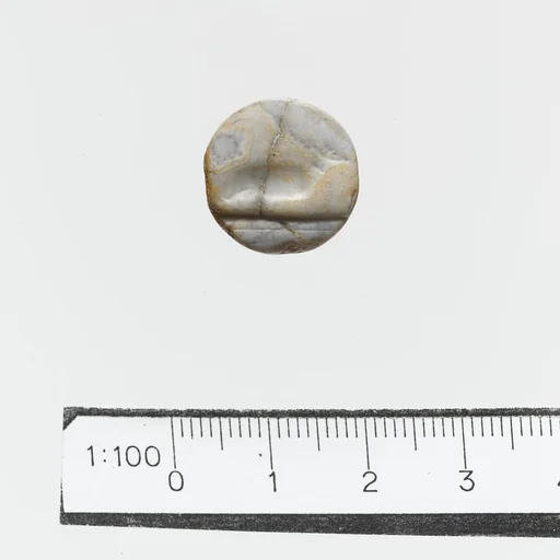 Seal