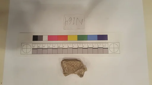 Stucco Fragment