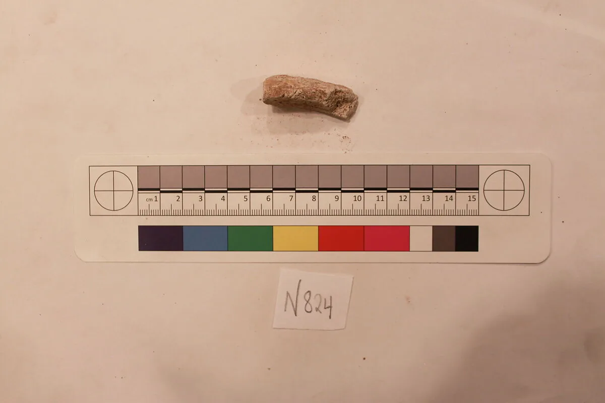 Stucco Fragment — Unknown