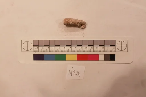 Stucco Fragment