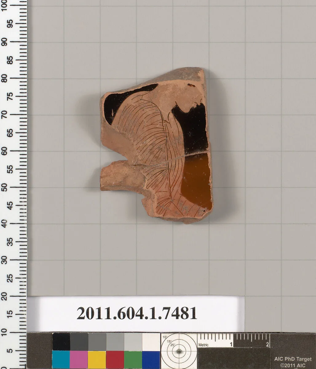 Terracotta fragment of a kylix (drinking cup) — Unknown