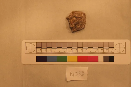 Stucco Fragment