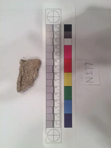 Stucco Fragment