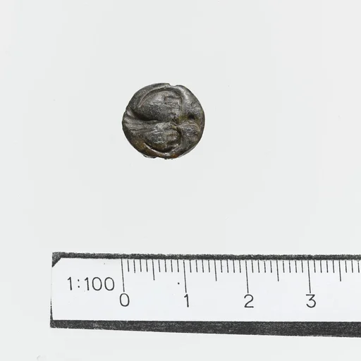 Seal