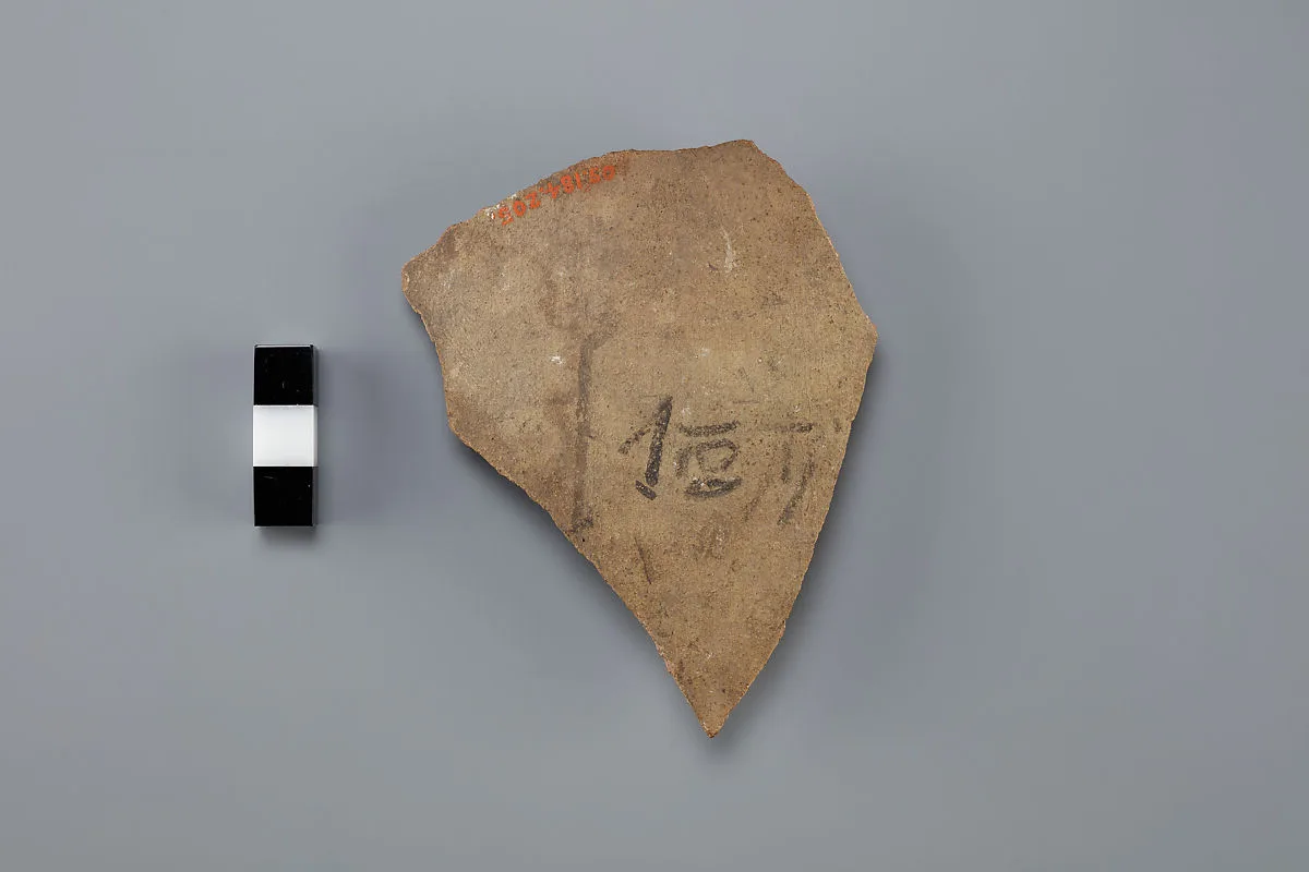 Ostracon — Unknown