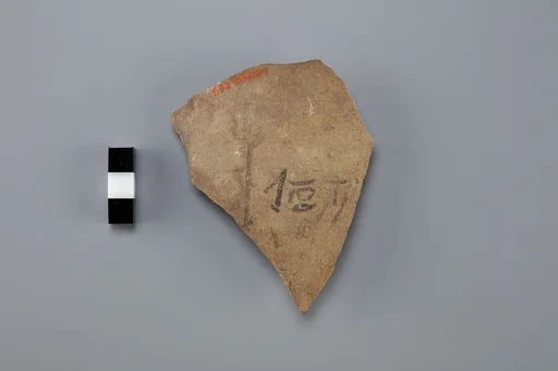 Ostracon
