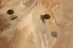 Desert Bloom 4
