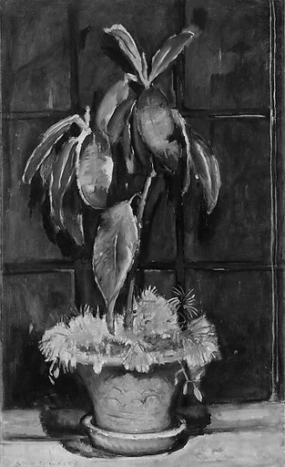 A Window at Night