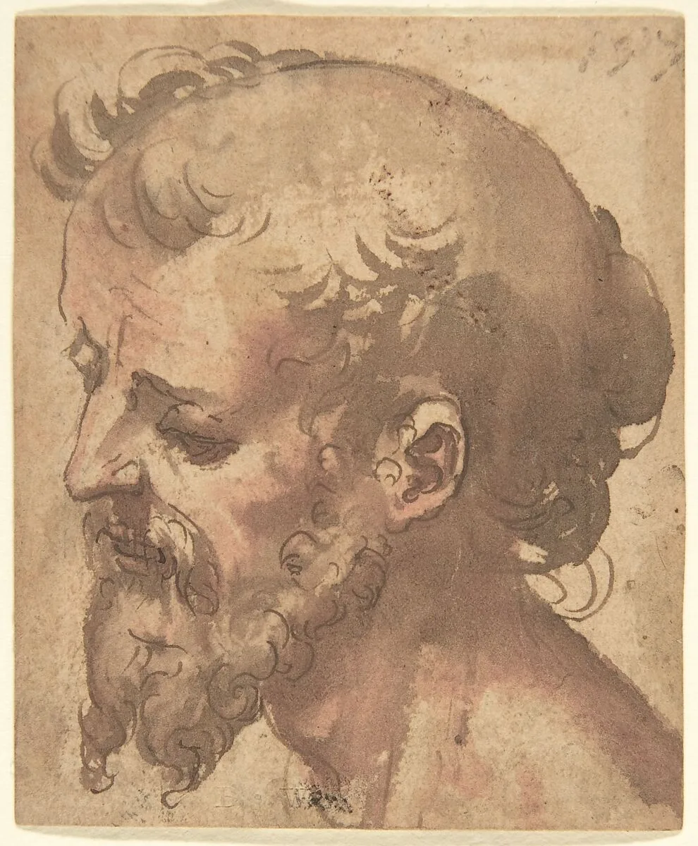 Head of a Bearded Man — Anonymous, Italian, Sienese, 16th century