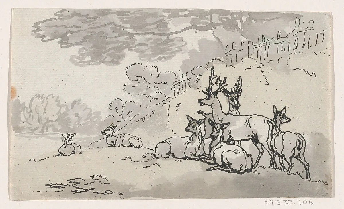 Deer (from Plate 3, Outlines of Figures, Landscapes and Cattle...for the Use of Learners) — Thomas Rowlandson|Henry Brookes|S. W. Fores|Mrs. Lay