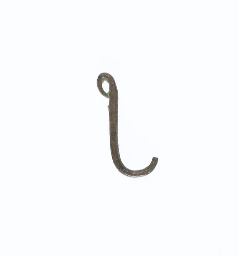 Fish hook