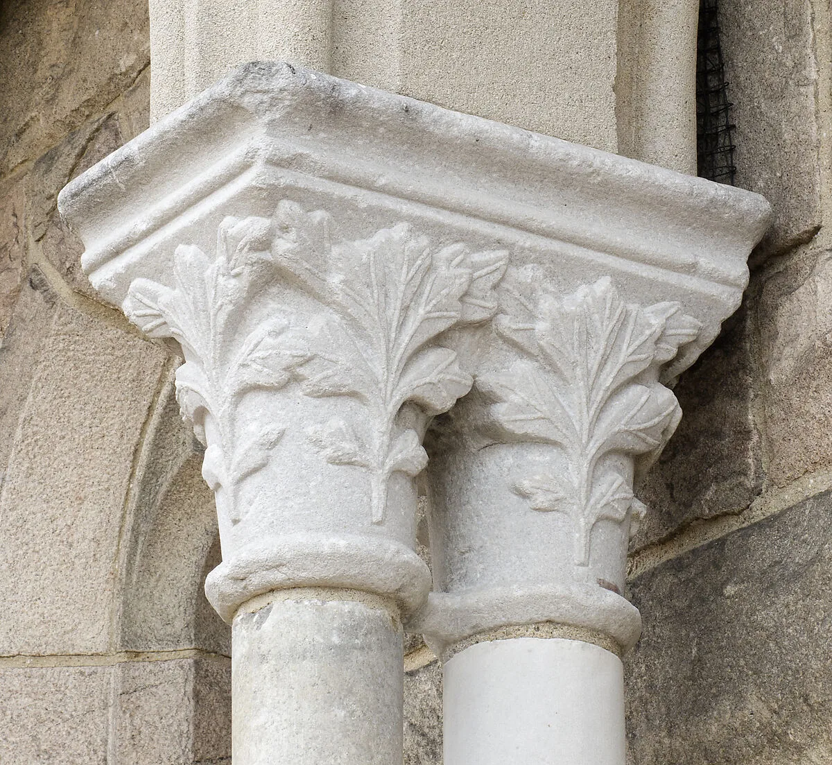 Double Capital — Unknown
