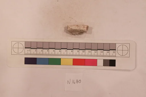 Stucco Fragment