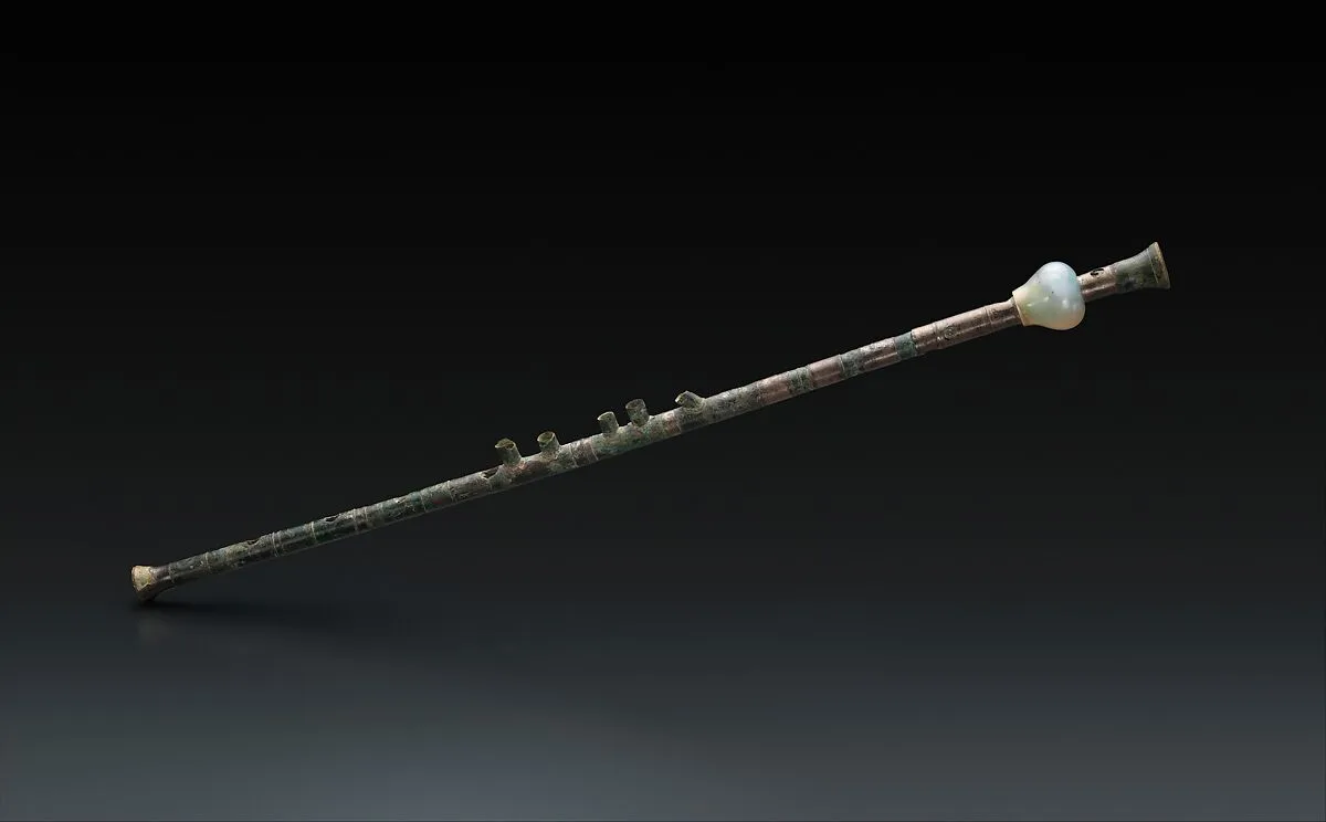 Tibia — Unknown