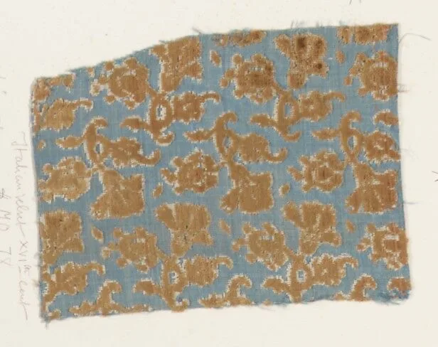 Fragment — Unknown