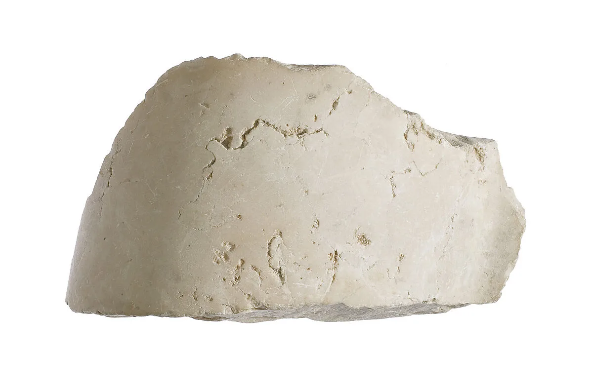 Arm fragment — Unknown