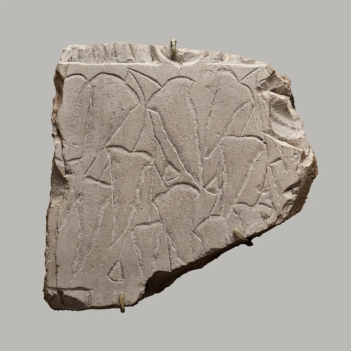 Relief fragment depicting a vine — Unknown