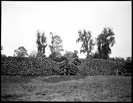 [Logging Landscape, Florida]