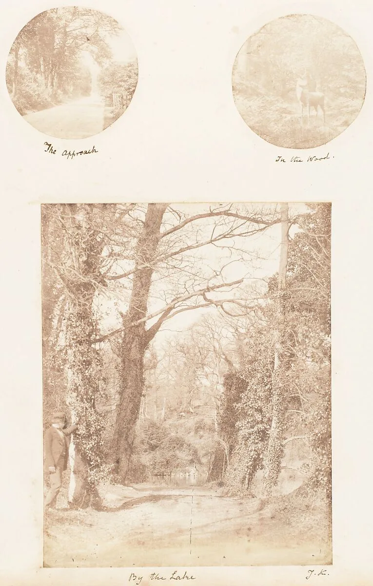 The Approach; In the Wood; By the Lake — James Knight