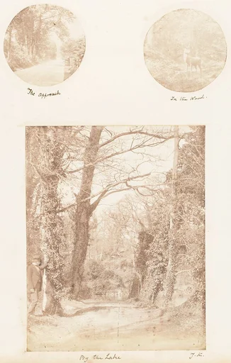 The Approach; In the Wood; By the Lake