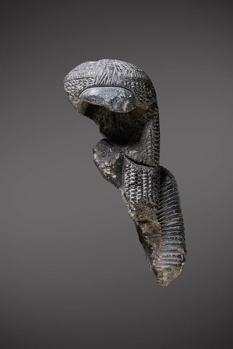 Statuette fragments (8), Ahmose Nefertari — Unknown