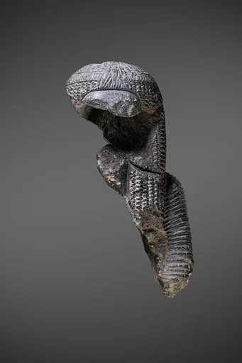 Statuette fragments (8), Ahmose Nefertari