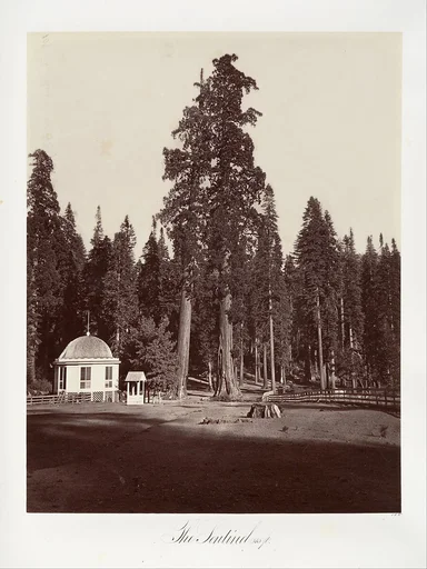 The Sentinel, 315 feet