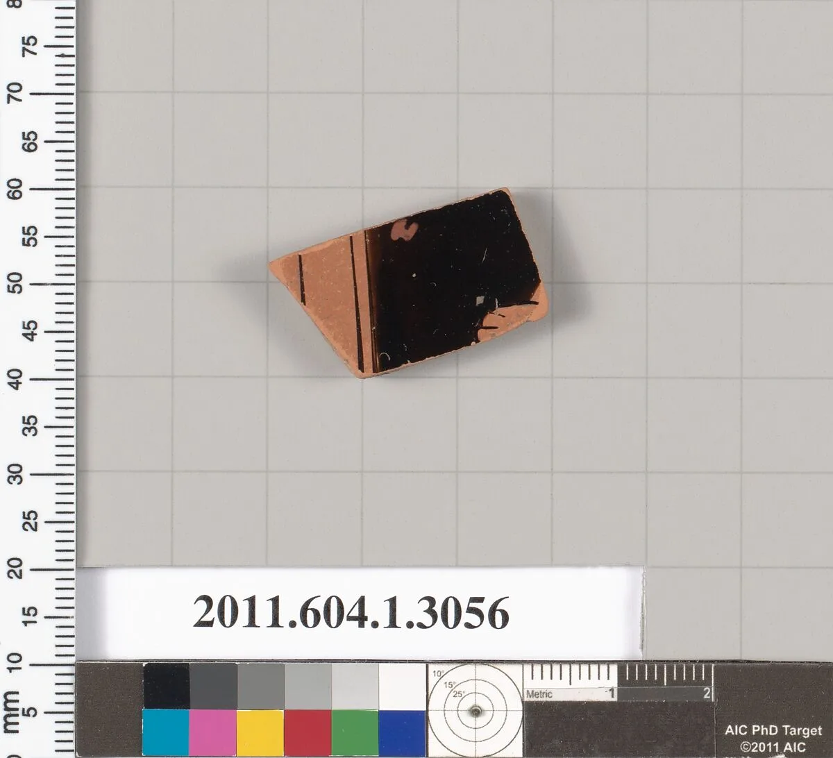 Terracotta fragment of a kylix (drinking cup) — Unknown