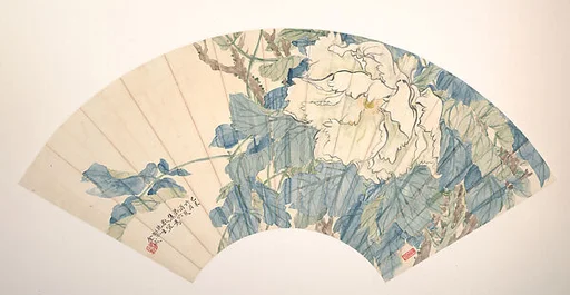 清/現代 金城 白牡丹圖 摺扇|Peony